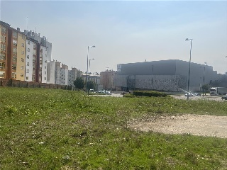 LAMAS DE PRADO 15