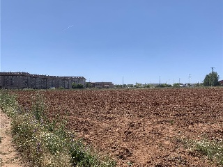 SECTOR 08:R. DE MIGUEL 7