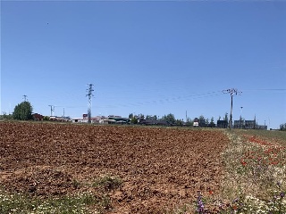 SECTOR 08:R. DE MIGUEL 14