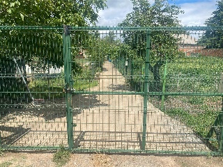 Gorrion 10