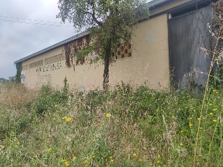 Nave industrial en Camino Cortijo 24