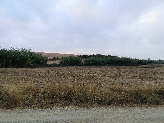 Suelo rústico en Paraje Arrogil o Pedregal 6