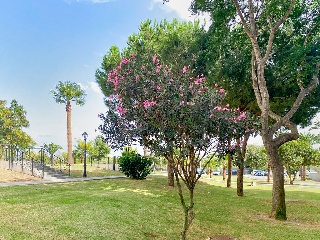 Piso en Ur Miraflores, San Roque (Cádiz) 36