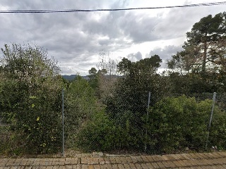 Domingo Roura 15