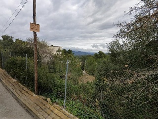 Domingo Roura 16