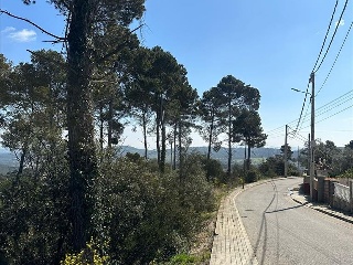Domingo Roura 18
