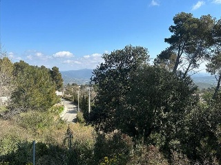 Domingo Roura 21