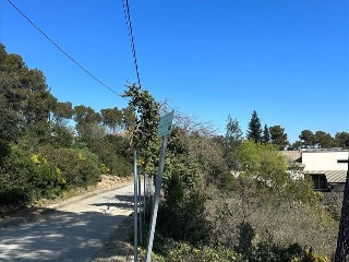 Domingo Roura 24