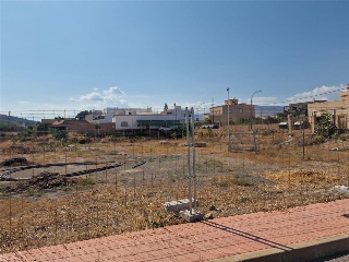 Almazara 14