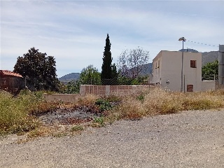 Almazara 16