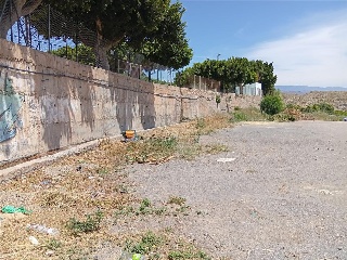 Almazara 19