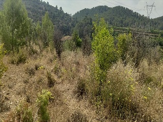 Partida Llano (Del) 12