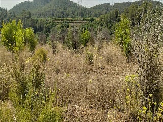 Partida Llano (Del) 23