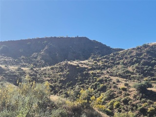Cortijo La Cara 16