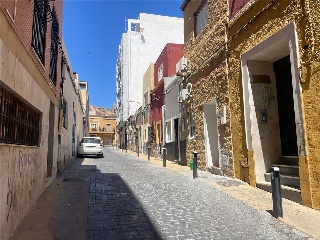 Mariposa 5