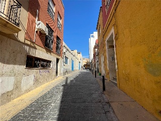 Mariposa 7