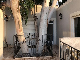 Suelo rústico con vivienda en Dolores 2