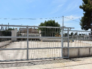 Suelo rústico con vivienda en Dolores 18