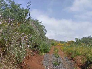 Suelo urbano en Paraje el Olmo - Arucas - Las Palmas 6