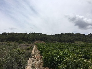 Suelo rústico en Ptda Miravet - Cabanes - Castellón 6