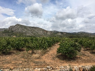 Suelo rústico en Ptda Miravet - Cabanes - Castellón 8