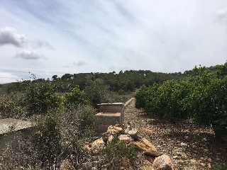 Suelo rústico en Ptda Miravet - Cabanes - Castellón 9