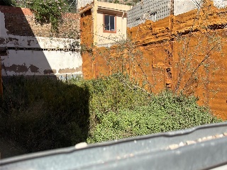 Liria 8