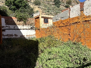 Liria 10