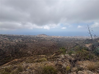 San Isidro 8