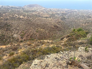 San Isidro 9