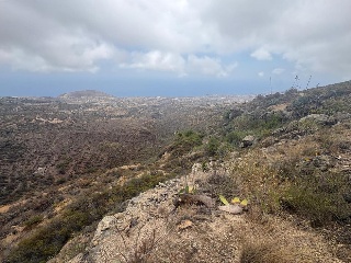 San Isidro 10