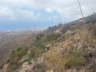 San Isidro 11