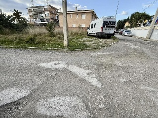 Cadi 24