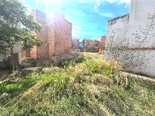 San Andres 14