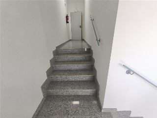 ROBLEDAL 20