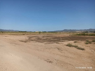 Suelo rústico en Paraje la primera Mancorra 6