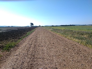 Suelo rústico en Paraje la primera Mancorra 9