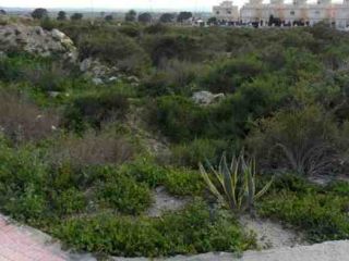 Suelos en San Fulgencio - Alicante - 5