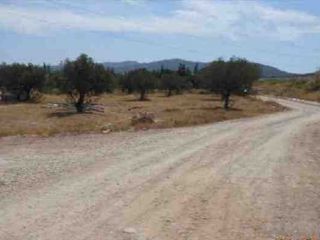 Pisos banco El Palmar