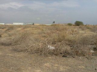 Pisos banco El Palmar