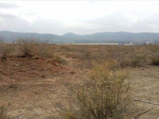 Suelos en El Palmar 2