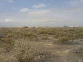 Suelos en El Palmar 4