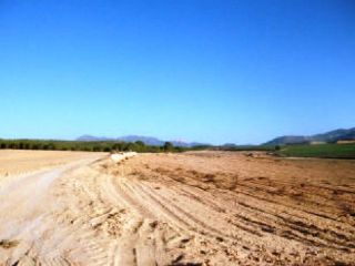 Promoción de suelos en venta en pre. cañada del toyo en la provincia de Murcia 4