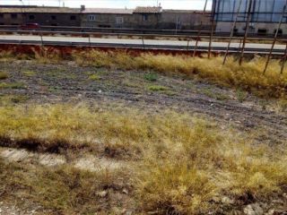 Suelo urbanizable en La Joyosa - Zaragoza - 2