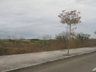Pisos banco Oviedo