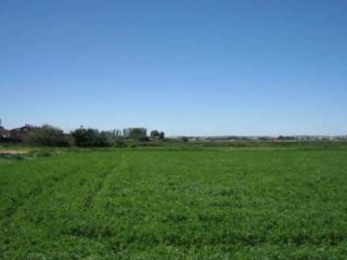 Suelo en Zaragoza 3