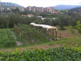 Suelo Urbanizable en PL Barrio Buruntza Auzoa  2