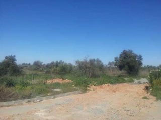 Suelo urbanizable sectorizado en Ctra Mairena-Almensilla - Sc ST-3 El Mármol -  Mairena del Aljarafe (Sevilla) 4