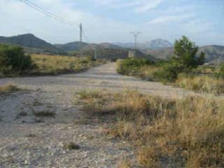Moralet 6