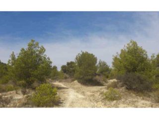 Suelos en Sector el Arquet 2